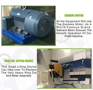 20TPH Ring Die Wood Pellet Mill 0