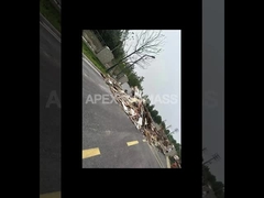 CPM Type 20T/H Biomass Wood Pellet Production Line With Low Energy