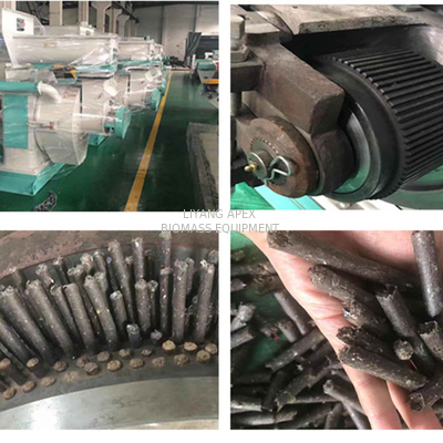 0.8 To 1TPH Small Wood Pellet Machine 4Cr13 Ring Die Pellet Mill